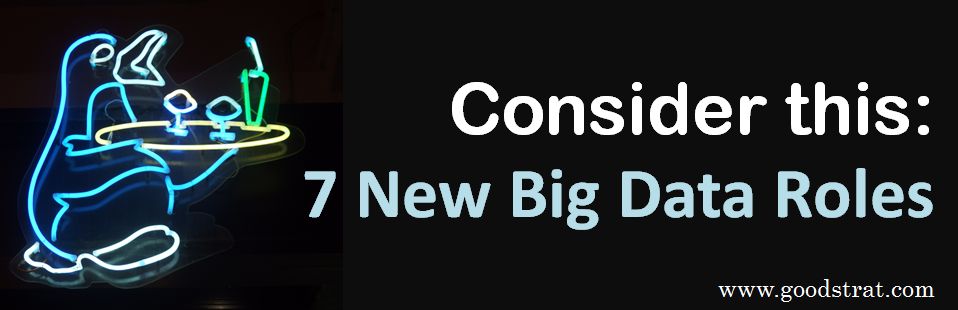 7 New Big Data Roles for 2015