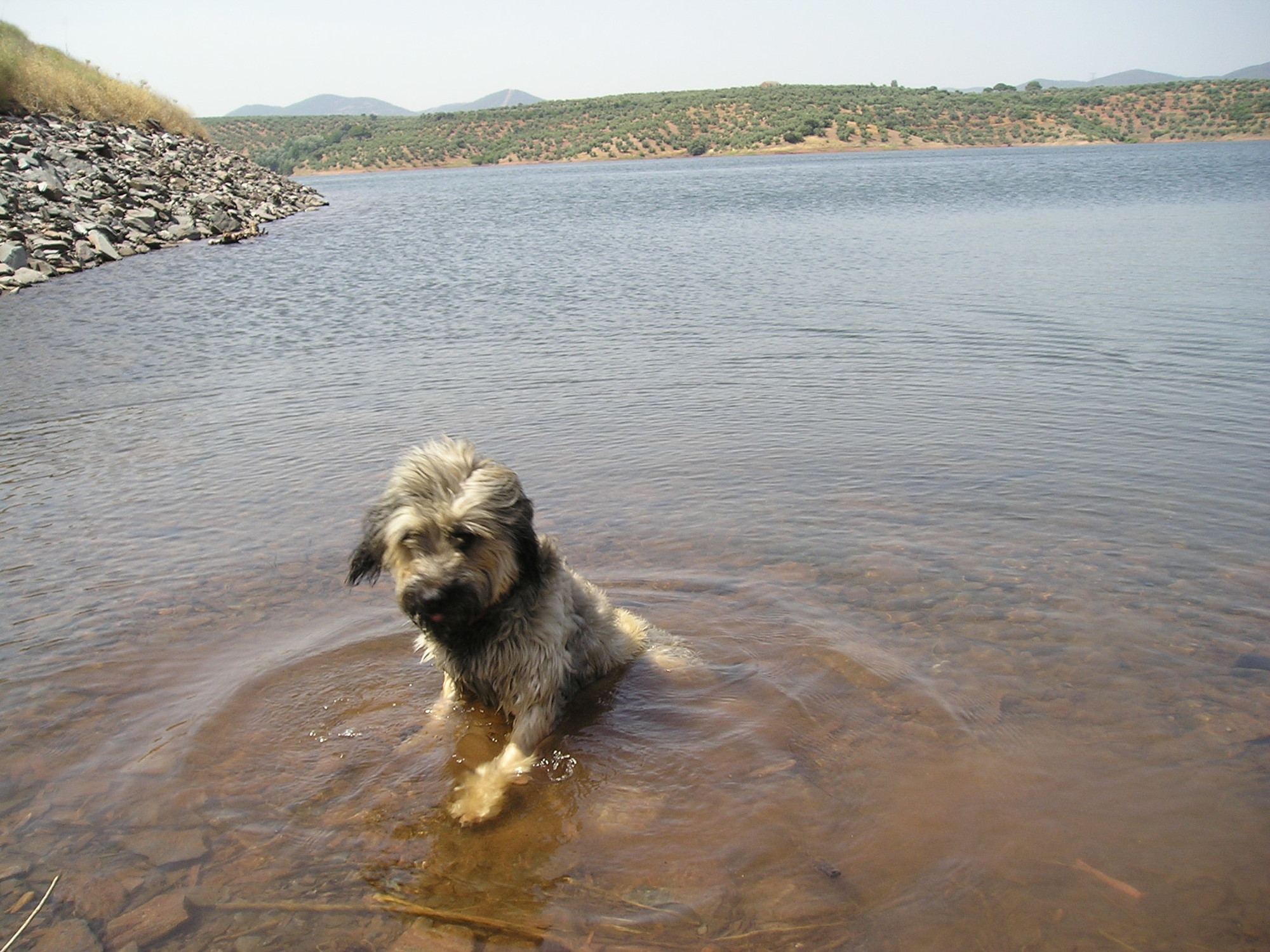 OLYMPUS DIGITAL CAMERA