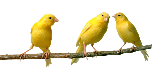 Data Warehousing Explained to Big Data Friends